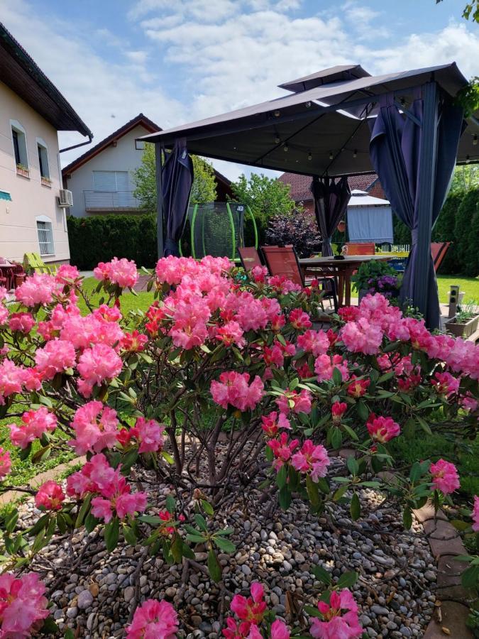 Studio Apartma Zirovnik Cerklje na Gorenjskem Luaran gambar