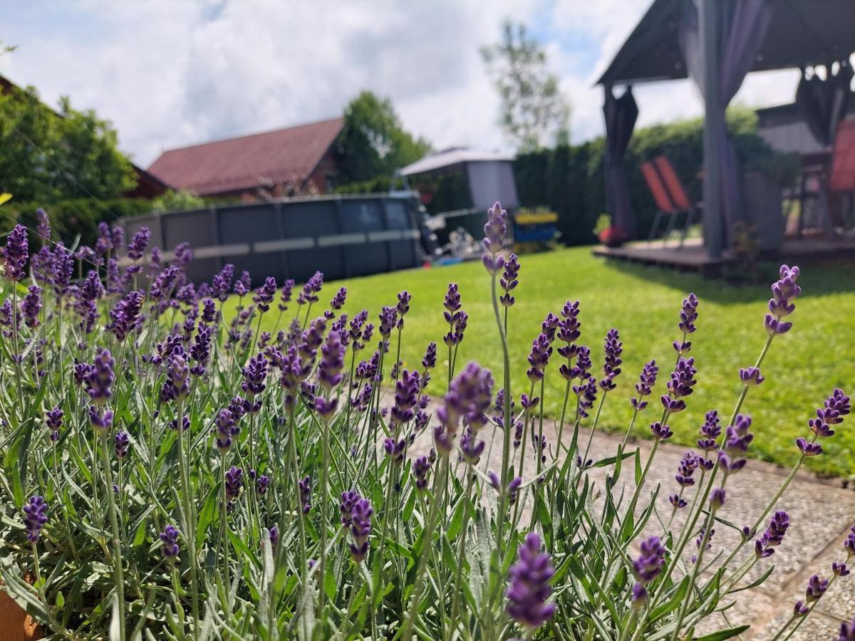 Studio Apartma Zirovnik Cerklje na Gorenjskem Luaran gambar