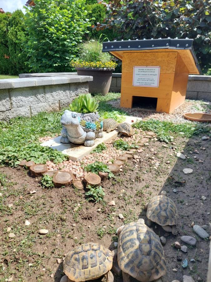 Studio Apartma Zirovnik Cerklje na Gorenjskem Luaran gambar